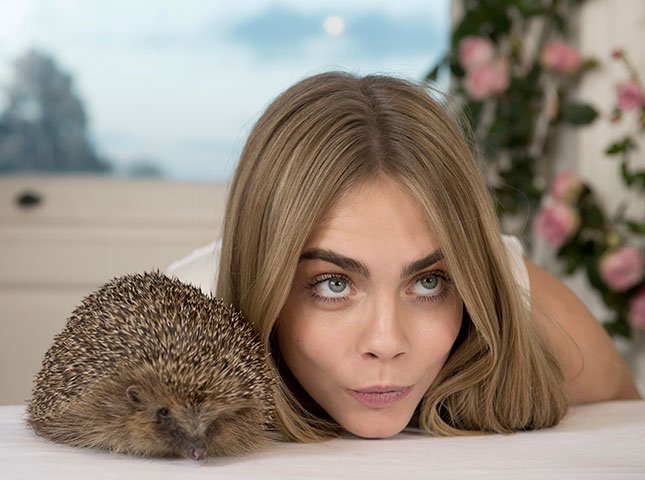 Cara Delvingne voor Mulberry