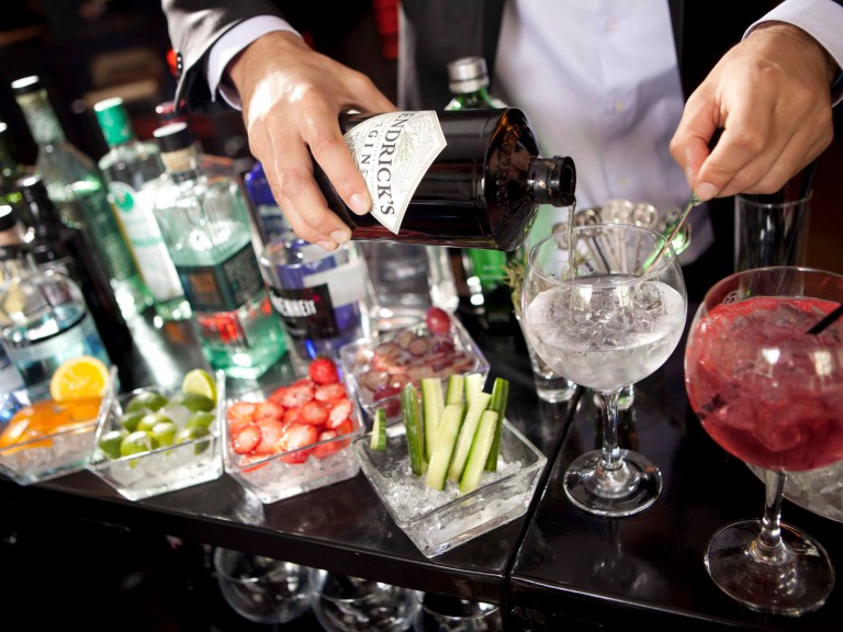 Gin Fair 5